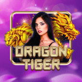 gogojili Dragon Tiger